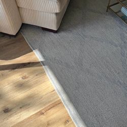 Beachy Coastal Rug, Safavieh 