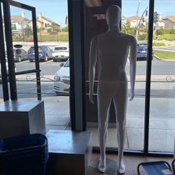 Men Mannequin (6 ft. 2 inches)