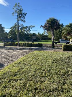 Top Quality St Augustine Sod