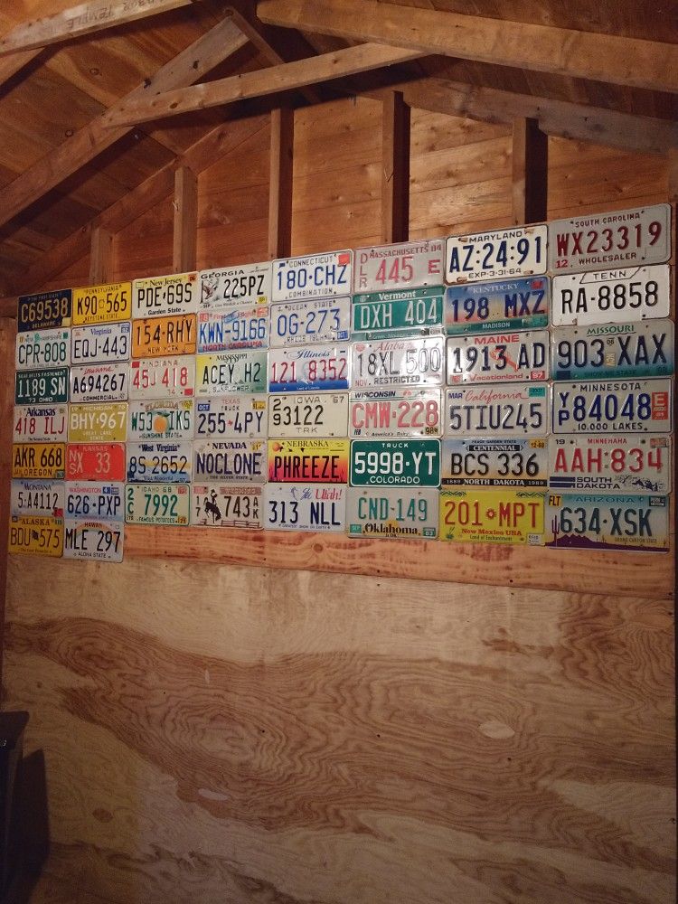 All 50 States License Plate Collection