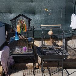 Bird Cage And Bird Stand....