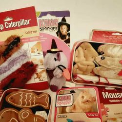 Cat Items Asking $25 For All