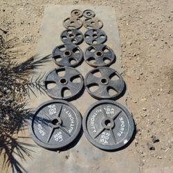 245lbs Olympic Weights 