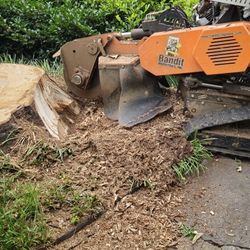 Stump Grinding 