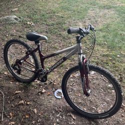 Schwinn Women’s Mountain Bike 