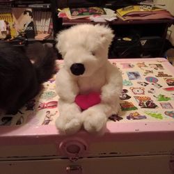 Giant Beanie Babies Bears 15 Dollars Each!