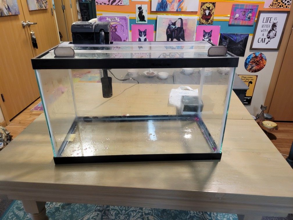 Aquarium- Pending Pickup