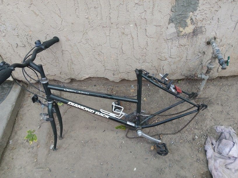 Diamond Back Frame 29"