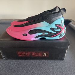 Way Of Wade 11 Miami Night