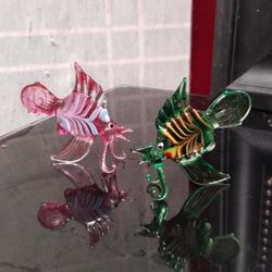 Glass Fish