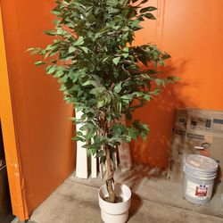 Faux Vikki Artificial Ficus Tree With Natural Wood Trunk