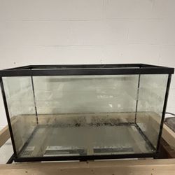 29 Gallon Tank
