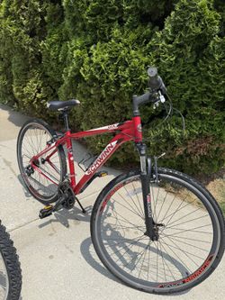 Schwinn GTX3 18”