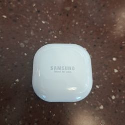 Samsung Galaxy Buds Fe With Case 