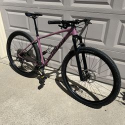 Specialized Chisel Medium