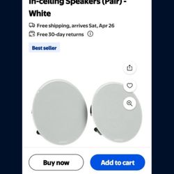 Bose Ceiling Speakers