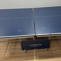 Table Tennis Table