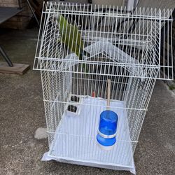 Talking parrot with cage