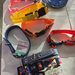 8 Dog Collar (4 With Light)