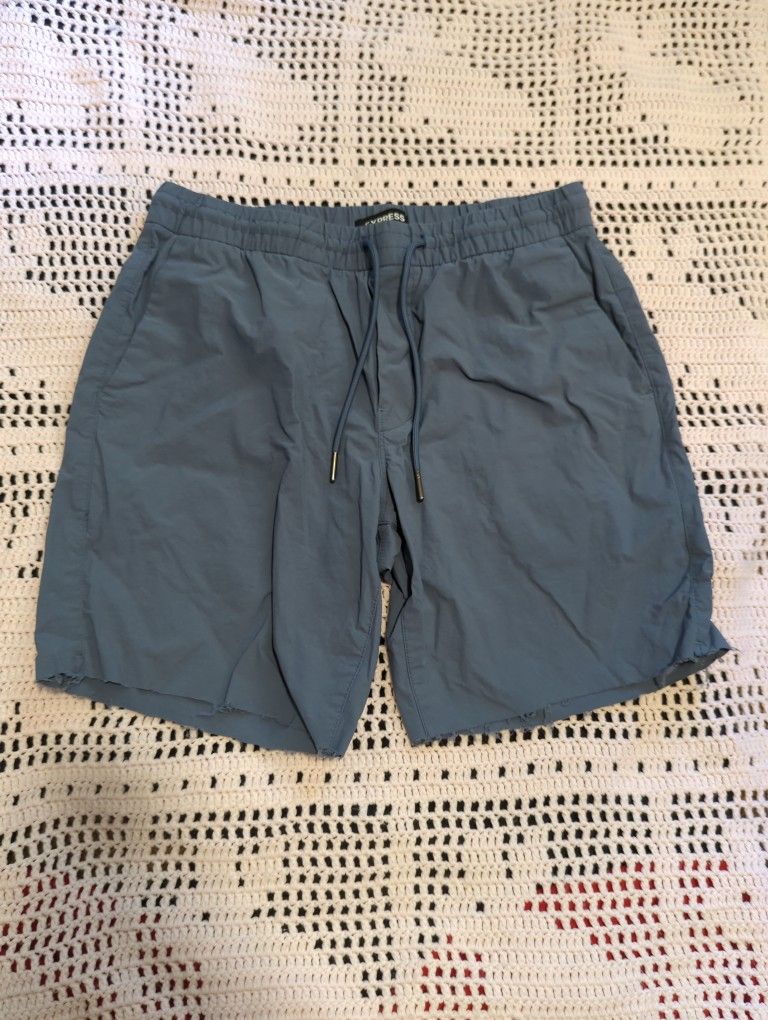 Size Small Blue/Grey Express Shorts