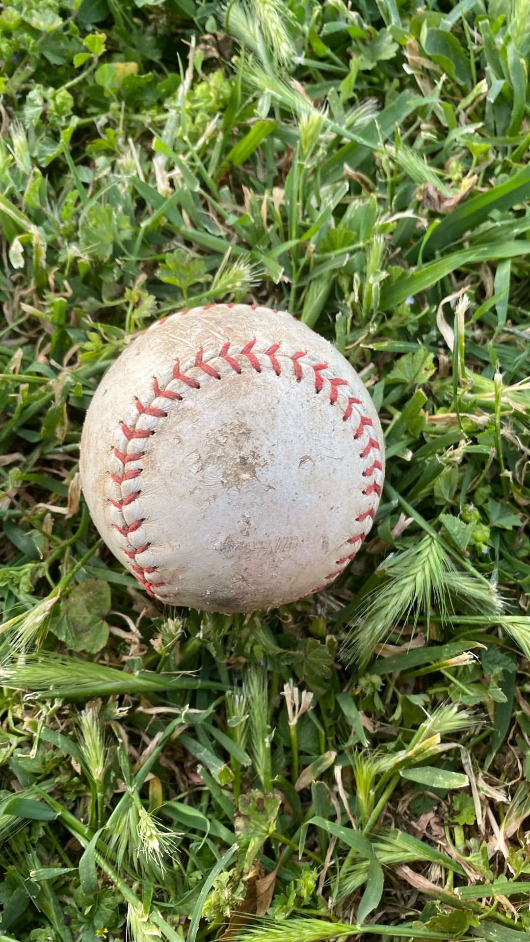 Baseball