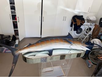 Plastic decorative fish