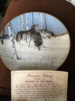 Set of 8 with certificates
