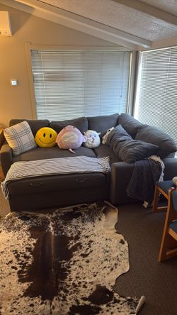 Grey Couch