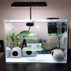 3 Gallon 12.6 L Transparent Fish Tank With Divider 