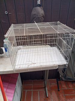 Jaula para pajaros  BIRDCAGE