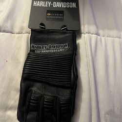 Woman’s Harley Davison 120 Anniversary Leather Gloves