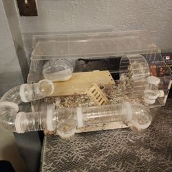 Large Transparent Acrylic Hamster Cage used Suitable for Hamsters, Guinea Pigs & Small Pets - Multi-Level Habitat with Exercise Wheel, Tunnel System, 