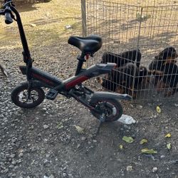 Bicicleta Eléctrica Y Más Preguntar  Precio ?
