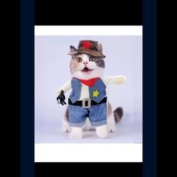 Pet Costume (different Sizes 
