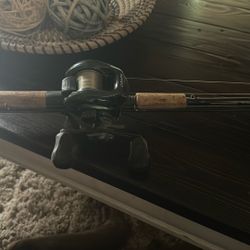Curado Reel/Gloomis Rod