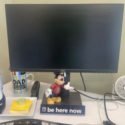 DELL LED MONITOR - 22 Inches