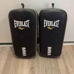 Everlast MMA Hitting Pads