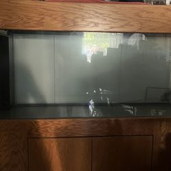 Fish Tank 200$ 100G