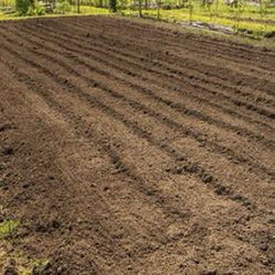 Garden Tilling 
