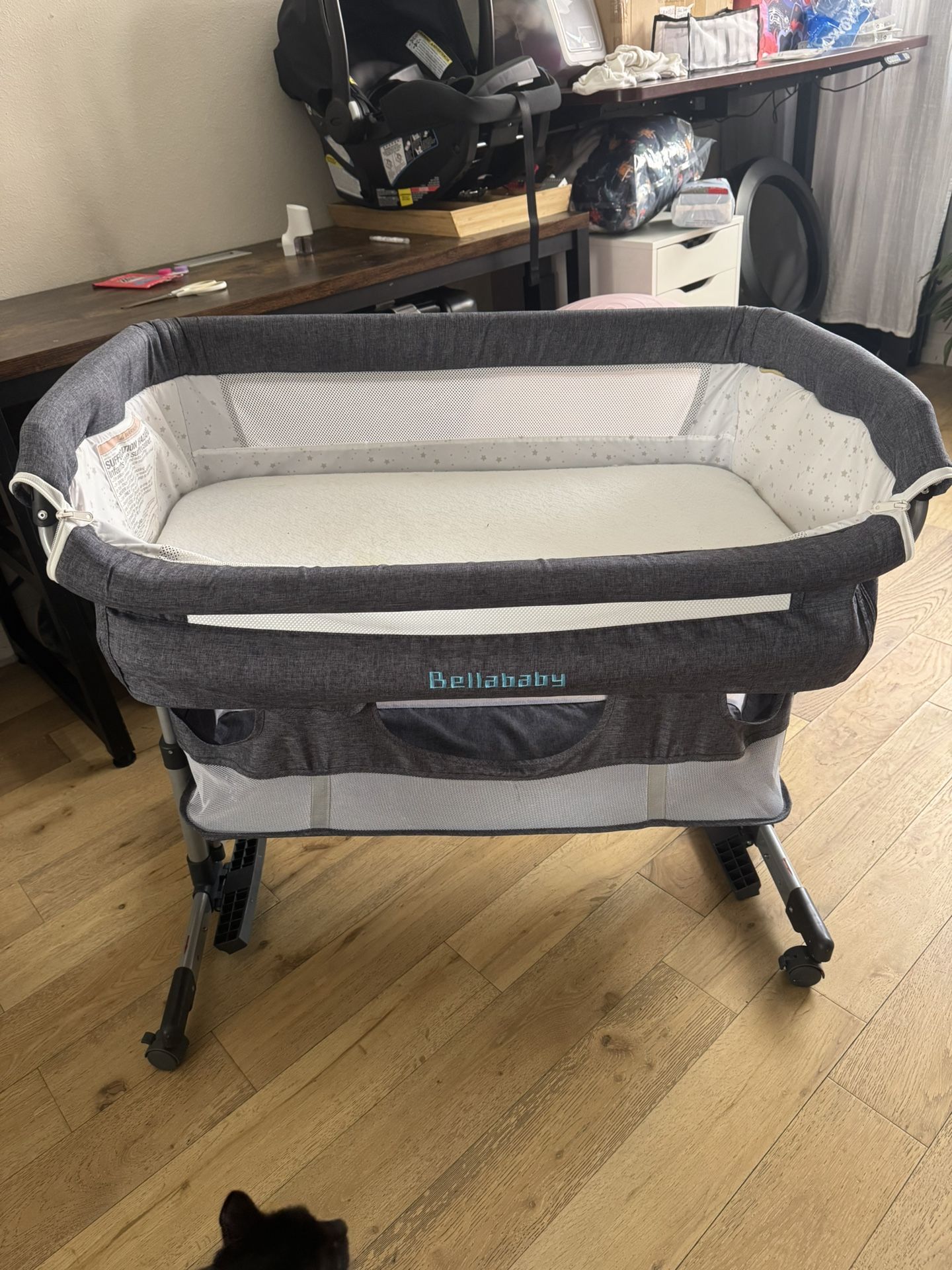 Bassinet Free