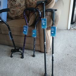 New  Walking  Cane 