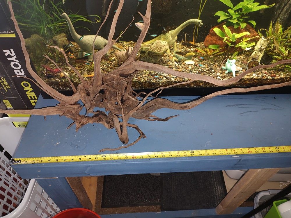 Large Driftwood 