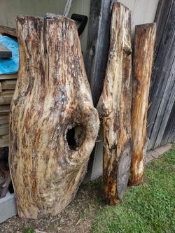 Live Edge 