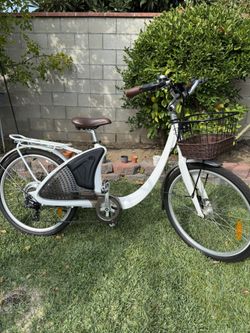 Electric Bike 