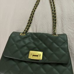 Aldo Purse