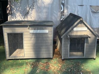 Large dog house