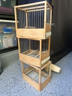 Bird Cage Canaries