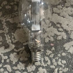 400w Lightbulbs 