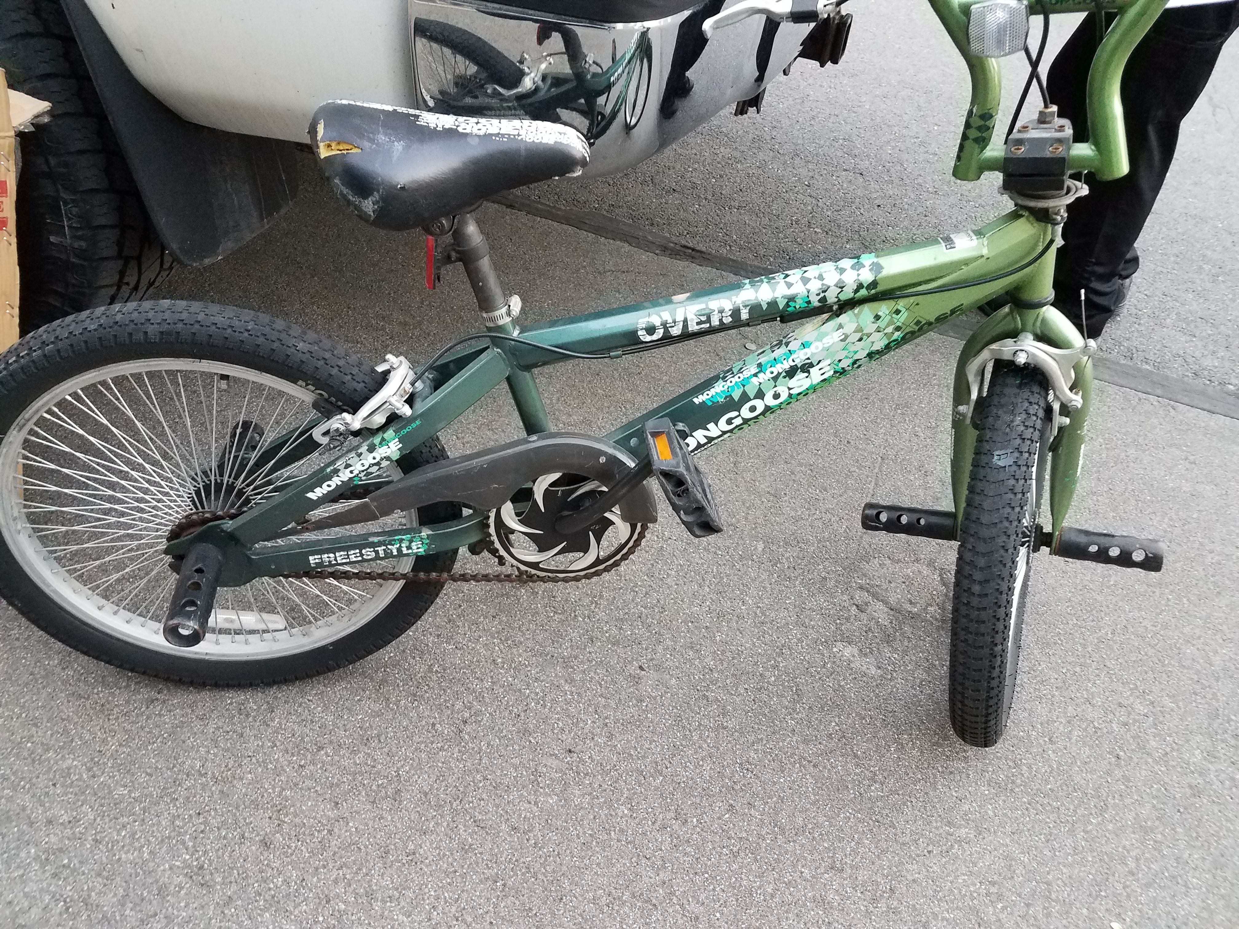 Mongoose