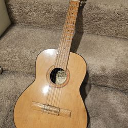 Acoustic Guitar 